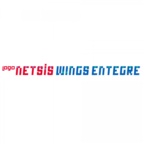 Logo Netsis Wings Entegre